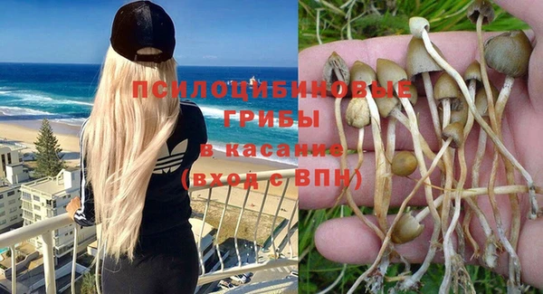 ГАЛЛЮЦИНОГЕННЫЕ ГРИБЫ Верхнеуральск