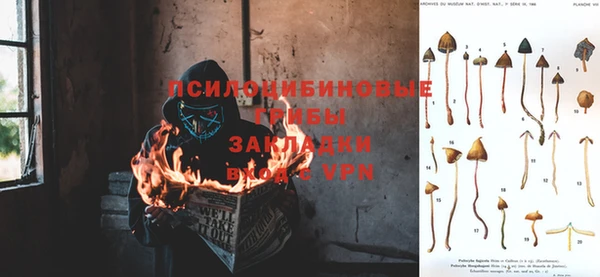 ГАЛЛЮЦИНОГЕННЫЕ ГРИБЫ Верхнеуральск