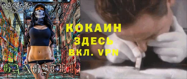 крисы Верея