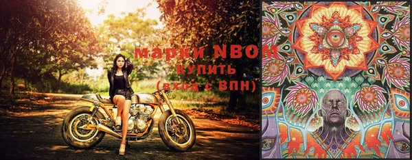 крисы Верея