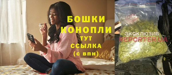 сатива Семилуки